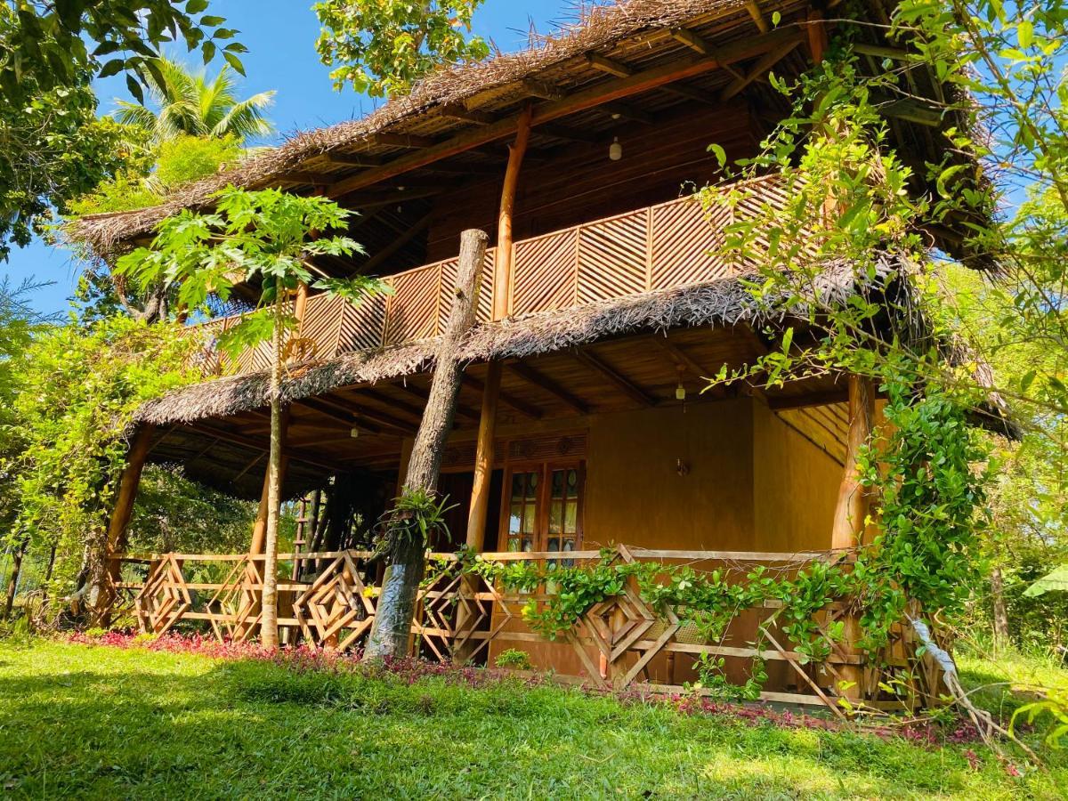 Sigiri Lion Eco Palace Sigiriya Exterior foto